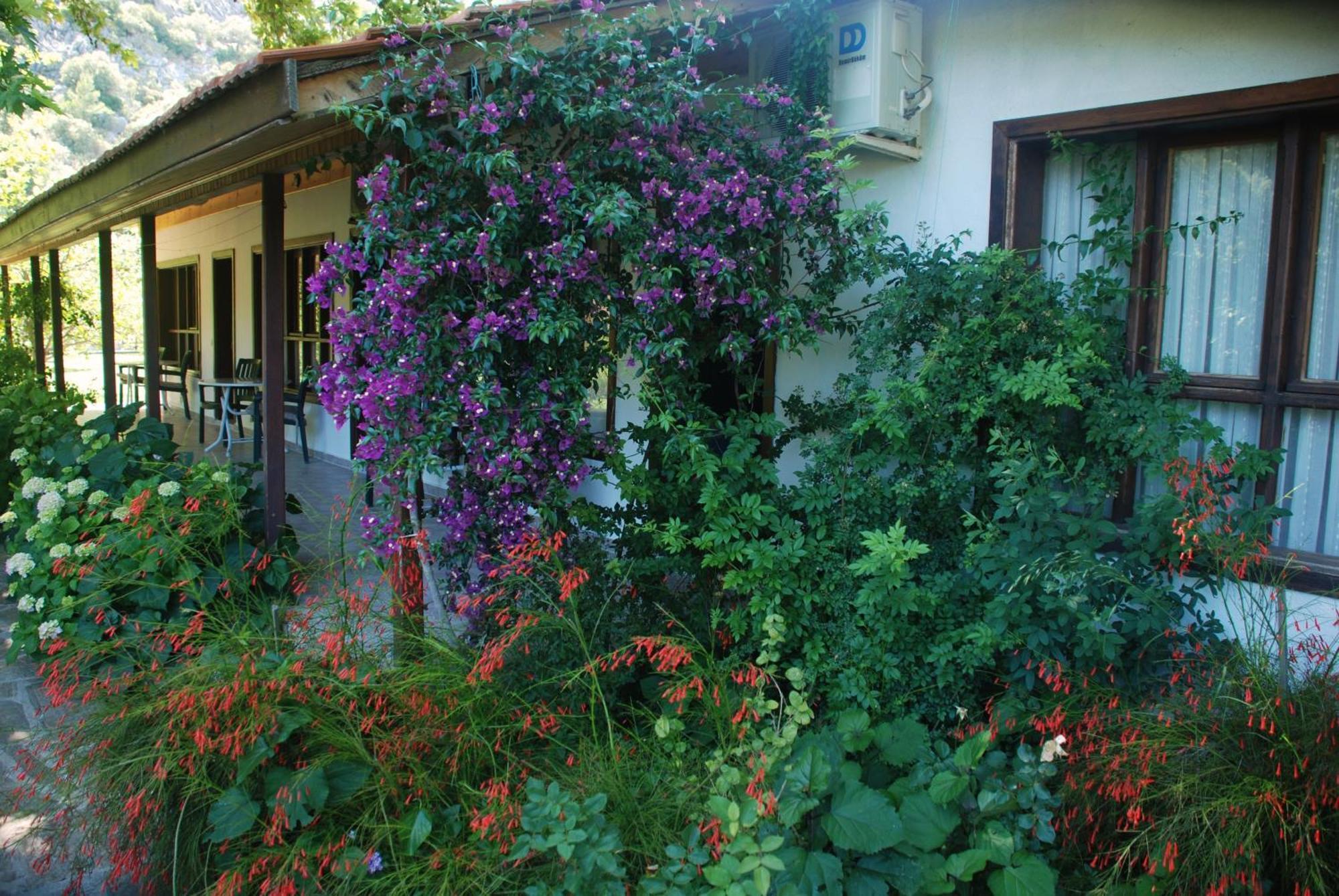 Dolunay Apart Hotel Çıralı Dış mekan fotoğraf