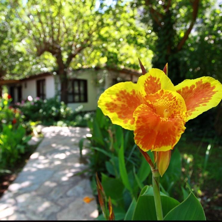 Dolunay Apart Hotel Çıralı Dış mekan fotoğraf