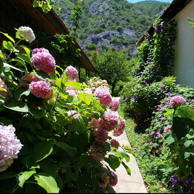 Dolunay Apart Hotel Çıralı Dış mekan fotoğraf