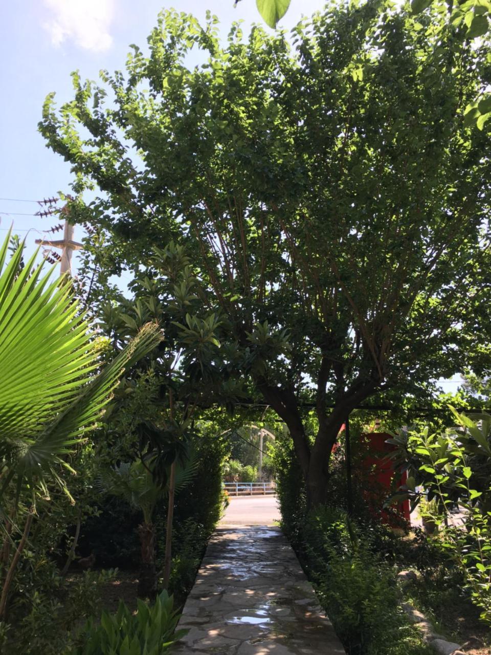Dolunay Apart Hotel Çıralı Dış mekan fotoğraf