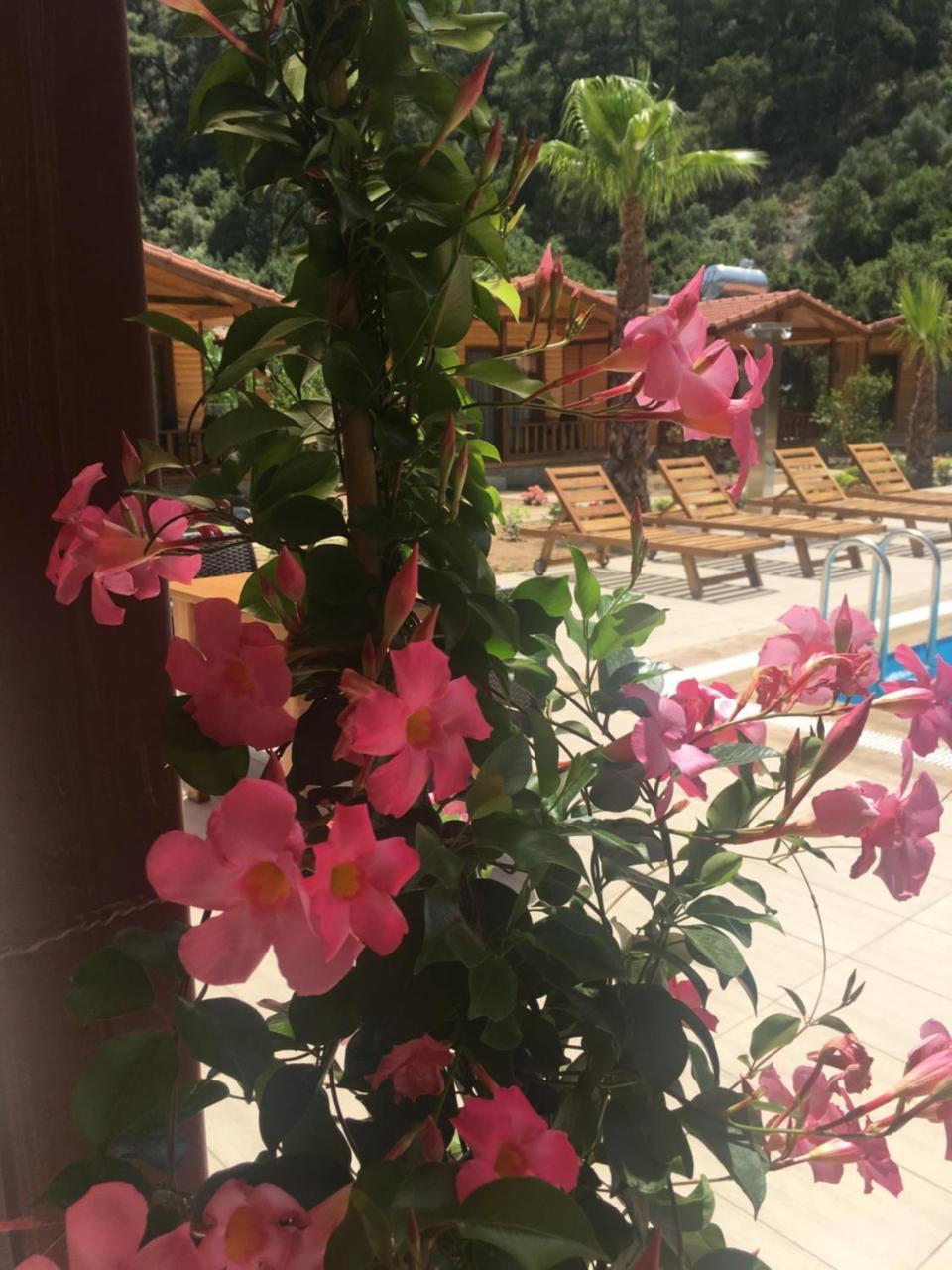 Dolunay Apart Hotel Çıralı Dış mekan fotoğraf