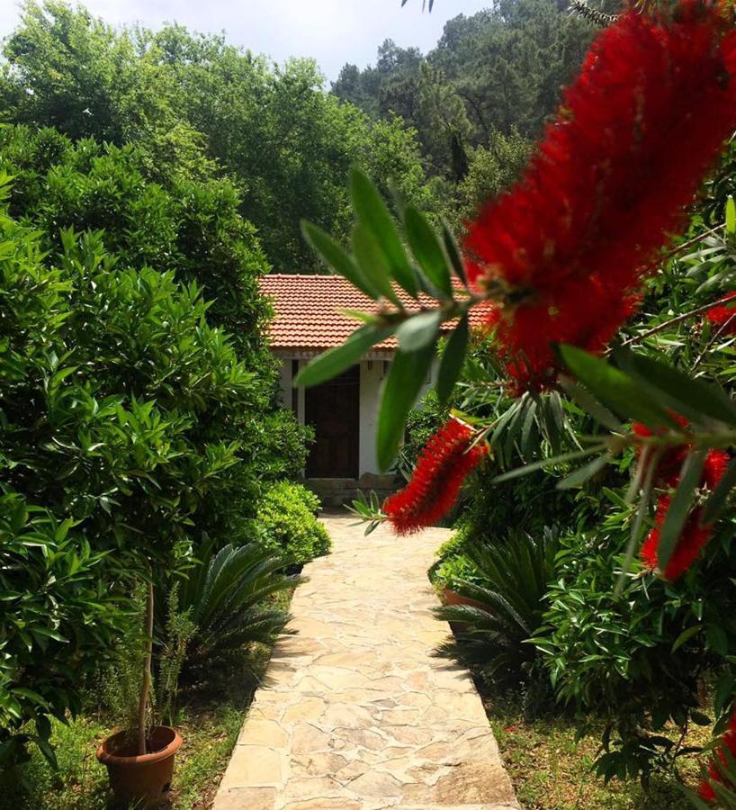 Dolunay Apart Hotel Çıralı Dış mekan fotoğraf